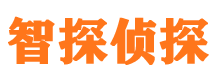 港闸寻人公司